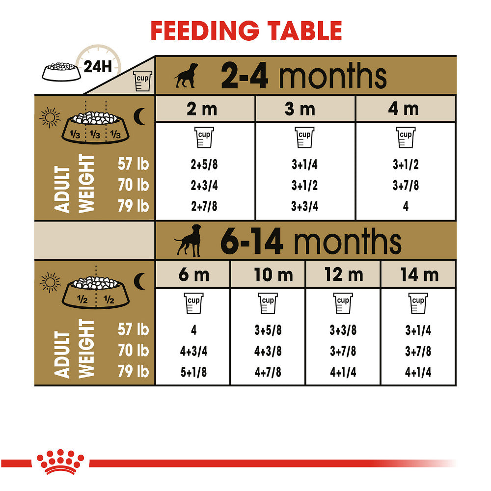 Royal canin boxer shop puppy feeding guide