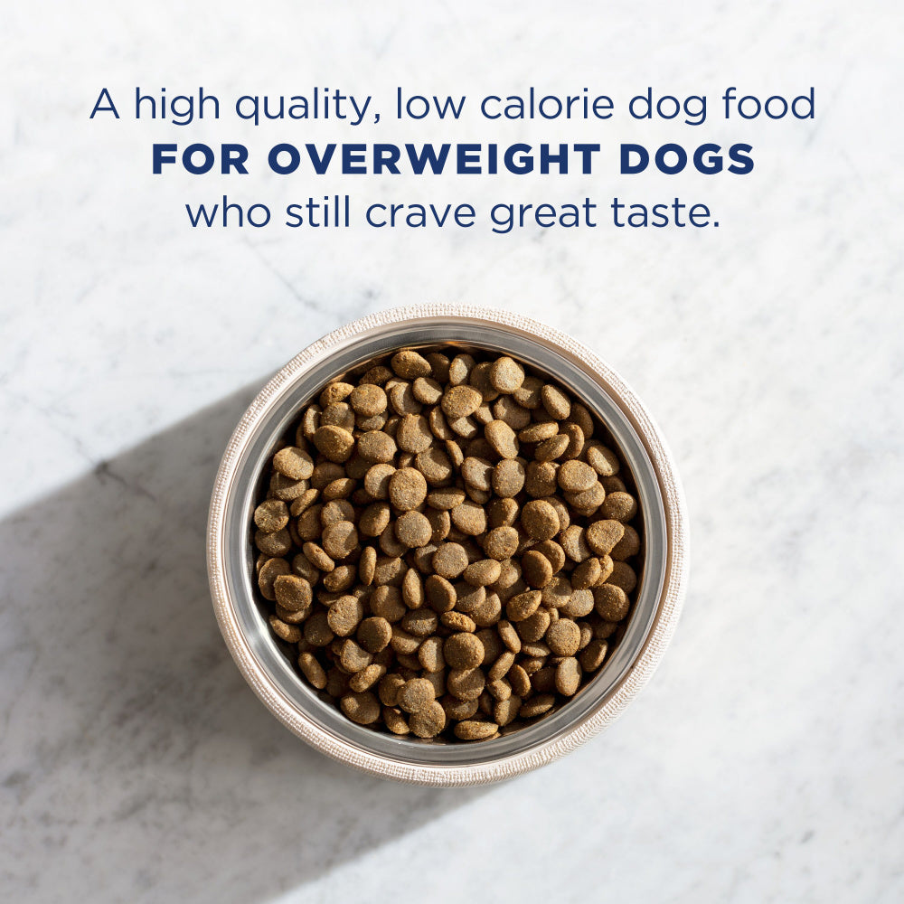 Low calorie dry dog hot sale food