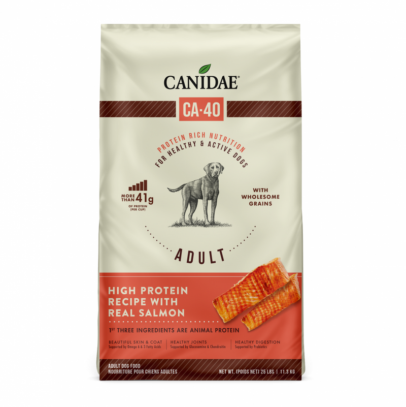 Canidae CA-40 High Protein With Real Salmon Recipe Dry Dog Food